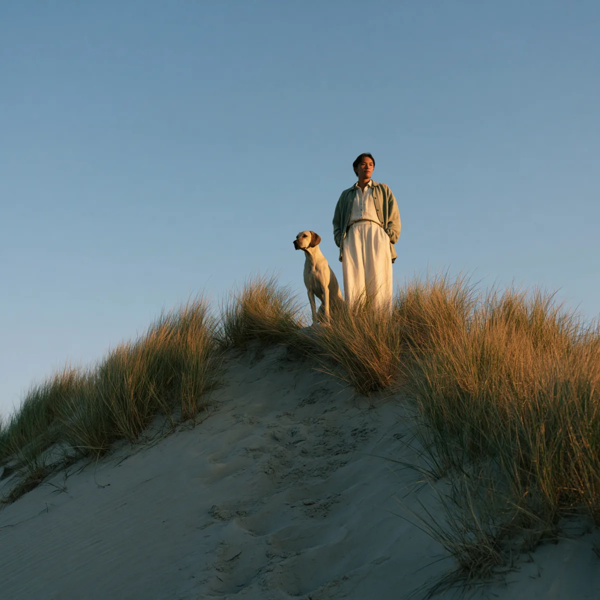 Person mit Hund auf einer sonnigen Düne